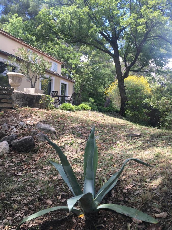Villa De Carbonelle Pierrevert Dış mekan fotoğraf