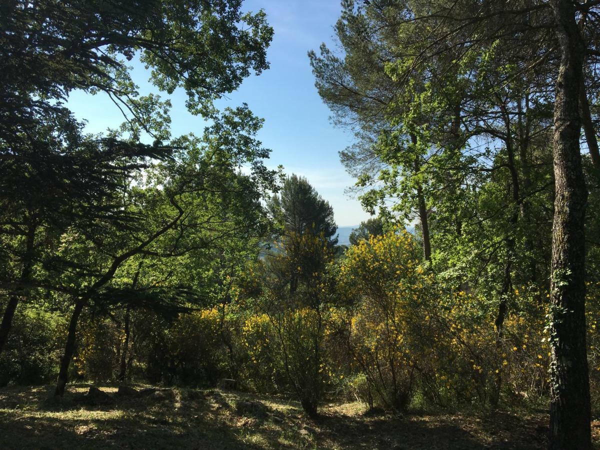 Villa De Carbonelle Pierrevert Dış mekan fotoğraf