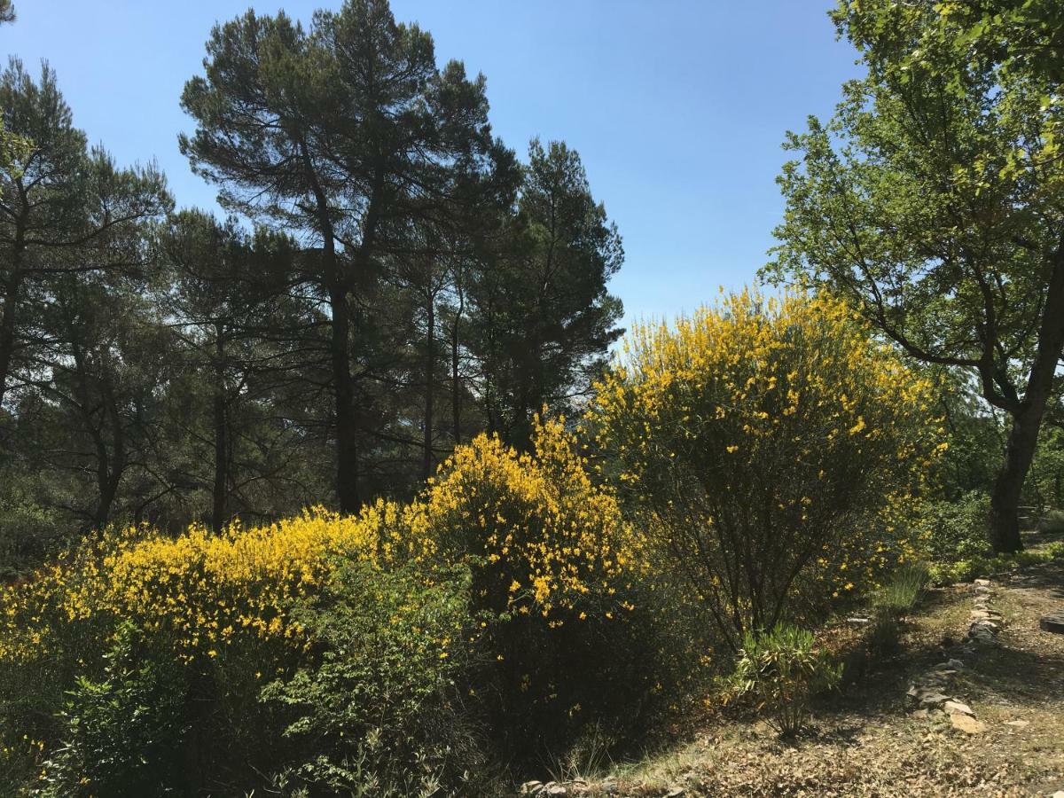 Villa De Carbonelle Pierrevert Dış mekan fotoğraf